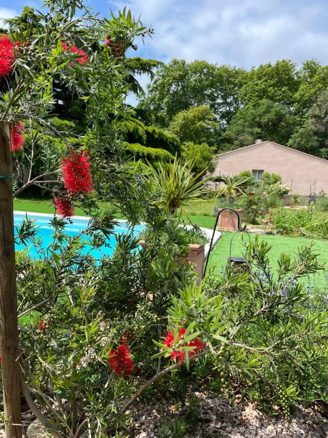 Suite à la Villa Cattus Bram Esterno foto