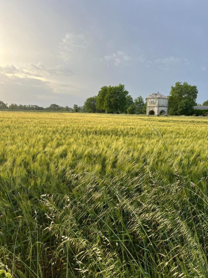 Suite à la Villa Cattus Bram Esterno foto